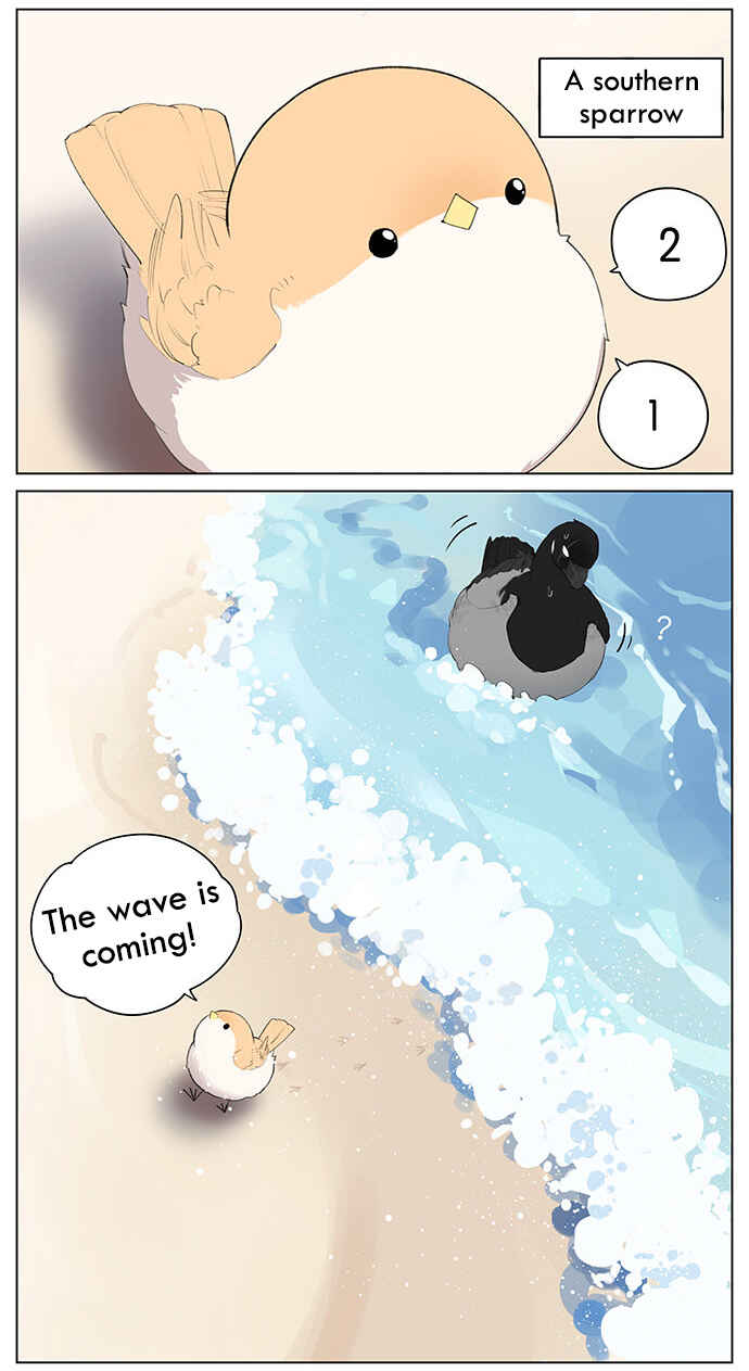 Southern Bird and Northern Bird Chapter 40 - Page 2