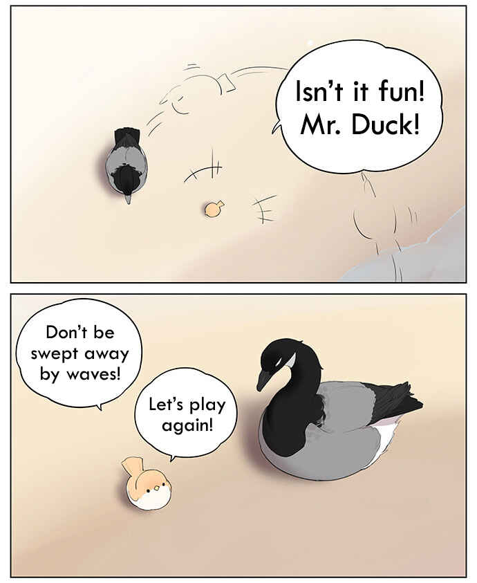 Southern Bird and Northern Bird Chapter 40 - Page 3