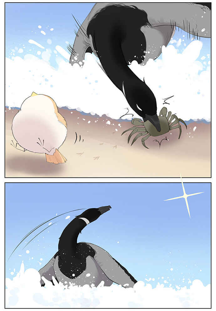 Southern Bird and Northern Bird Chapter 40 - Page 5