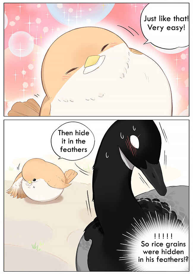 Southern Bird and Northern Bird Chapter 4 - Page 3