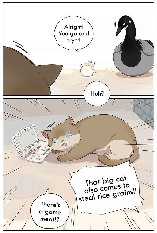 Southern Bird and Northern Bird Chapter 4 - Page 4