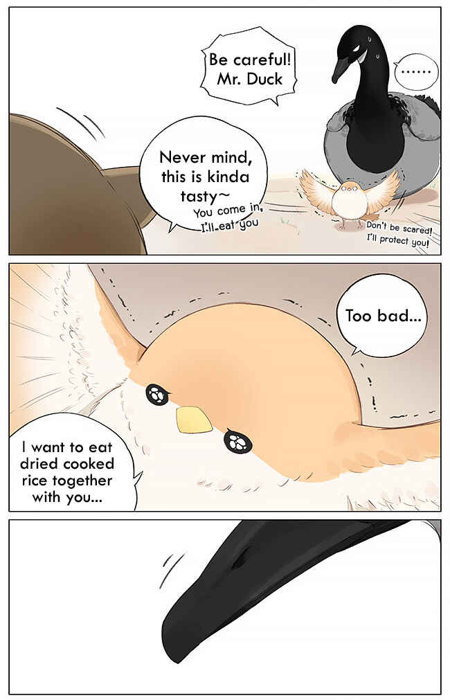 Southern Bird and Northern Bird Chapter 4 - Page 5