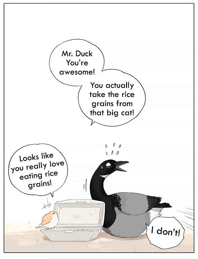 Southern Bird and Northern Bird Chapter 4 - Page 7