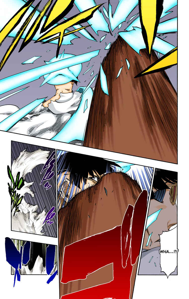 Bleach (Official Colored) Chapter 491 - Page 17