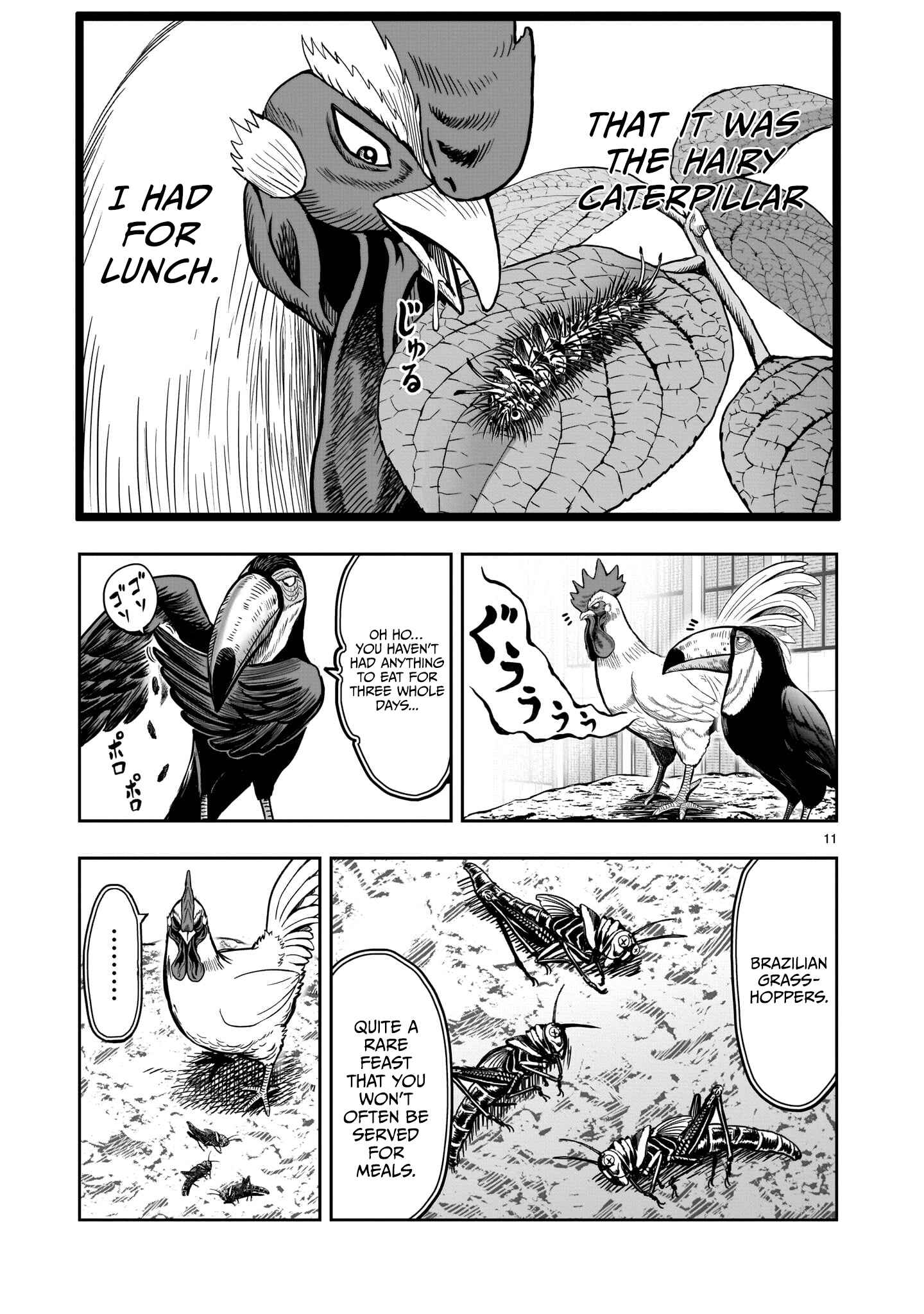 Niwatori Fighter Chapter 3 - Page 13