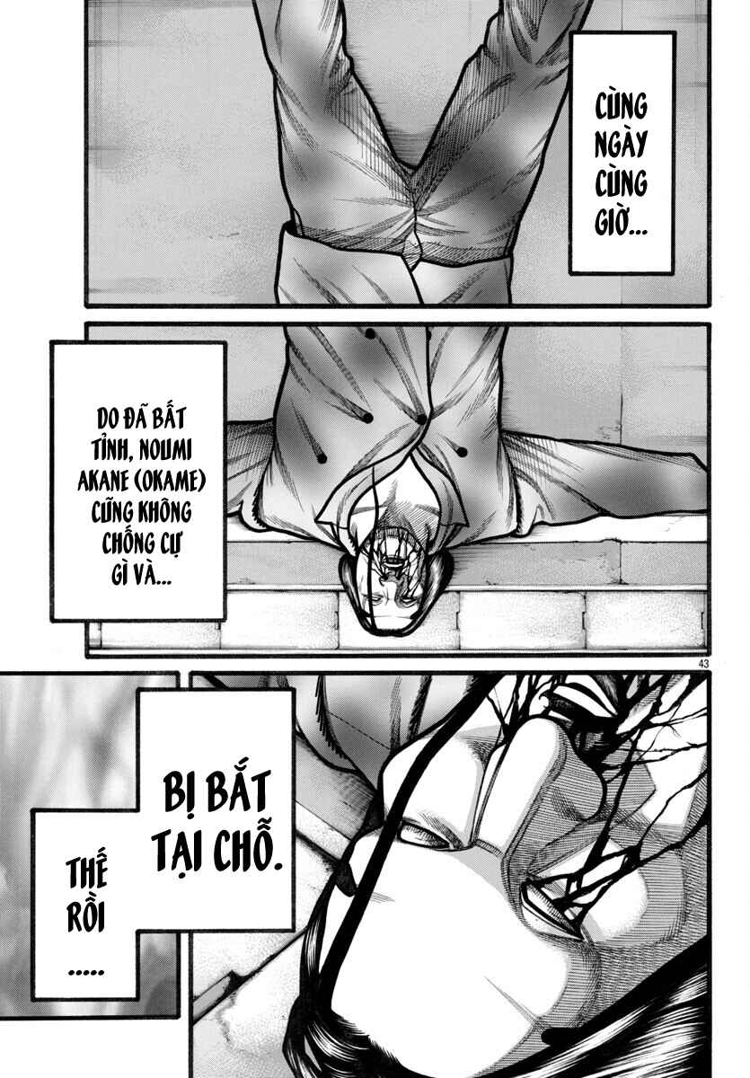 Crows Gaiden Housenka - the beginning of HOUSEN Chapter 73 - Page 40