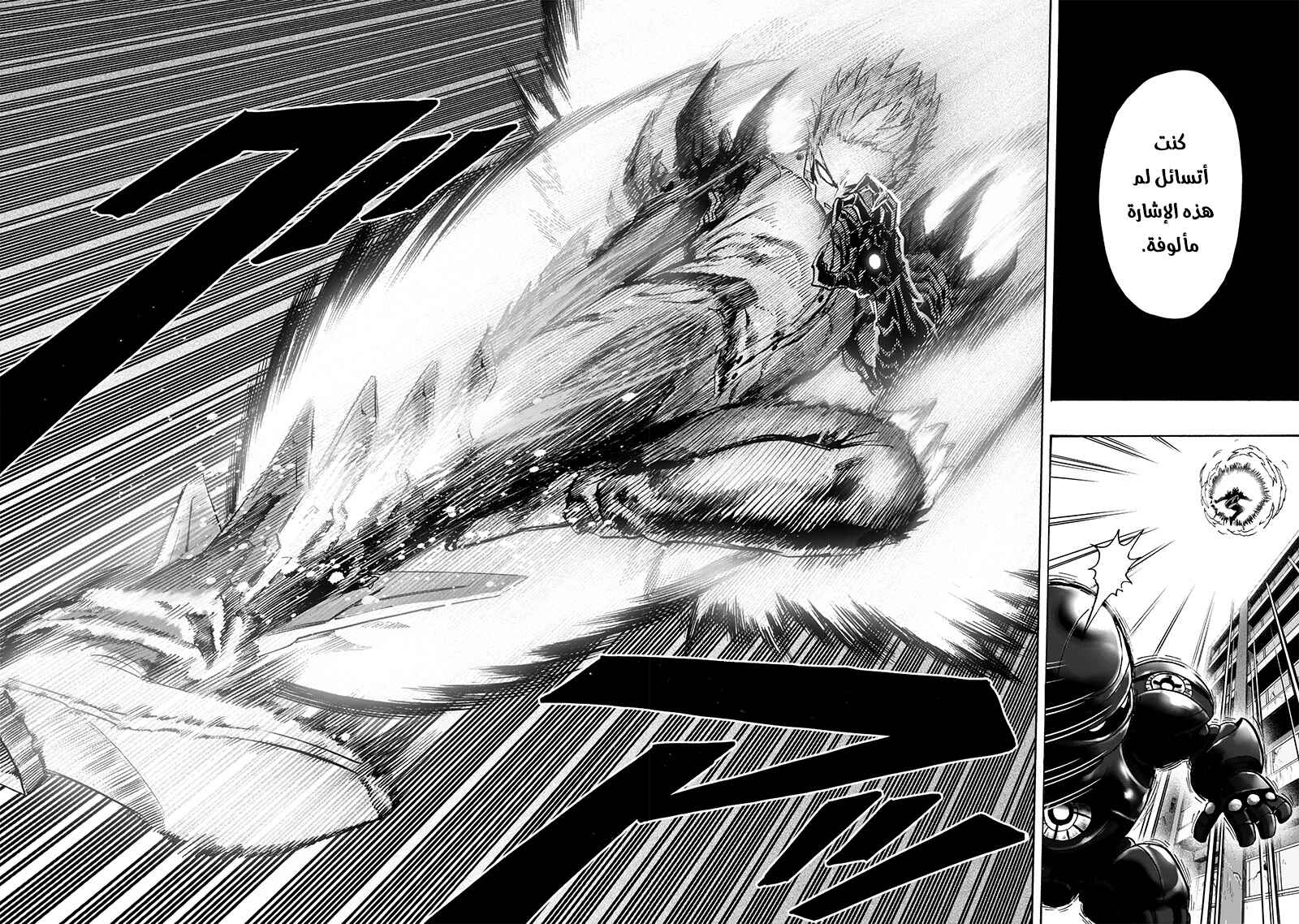One Punch-Man Chapter 119 - Page 24
