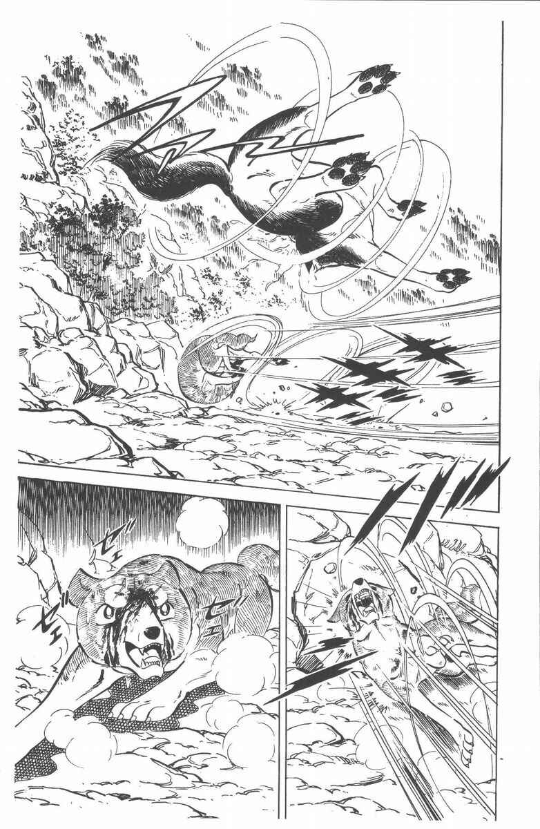 Silver Fang – The Shooting Star Gin – Chapter 51 - Page 38