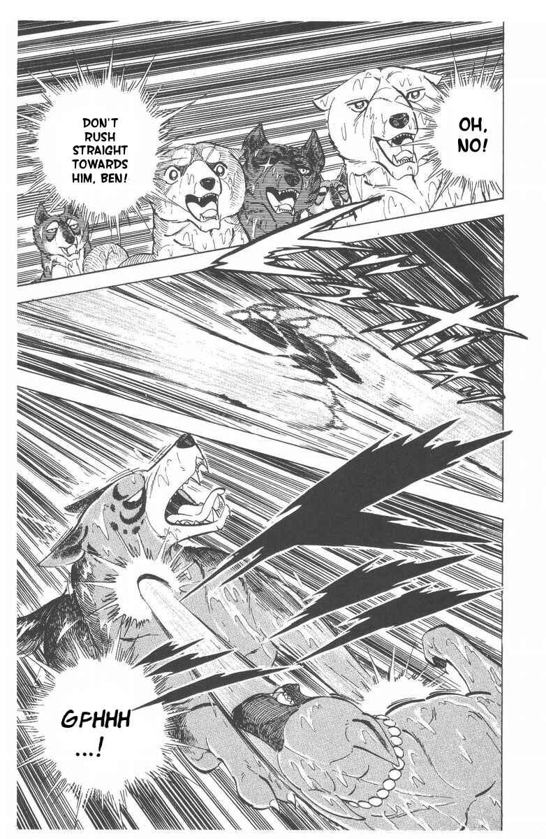 Silver Fang – The Shooting Star Gin – Chapter 51 - Page 5