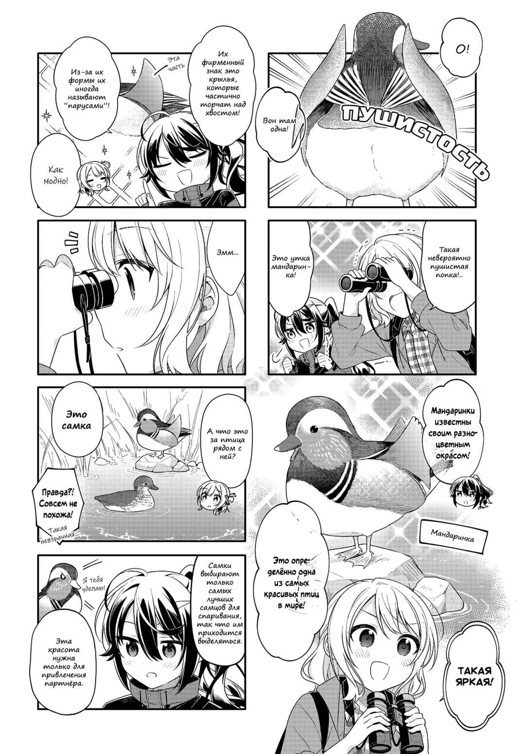 Shiawase Tori-mingu Chapter 3 - Page 6