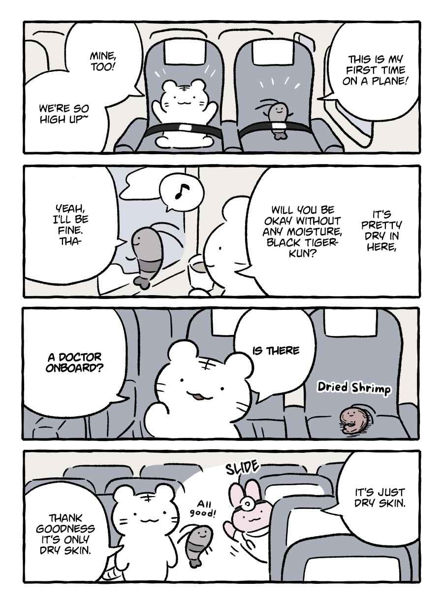 White Tiger and Black Tiger Chapter 8 - Page 1