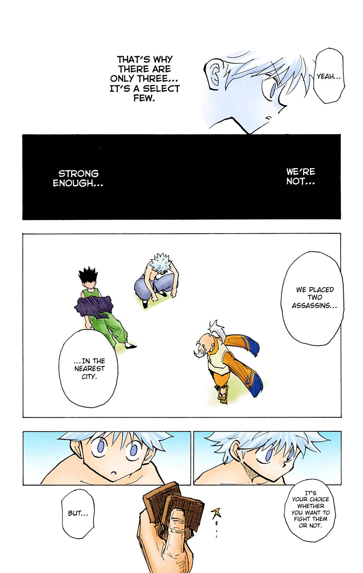 Hunter x Hunter (Official Colored) Chapter 199 - Page 8