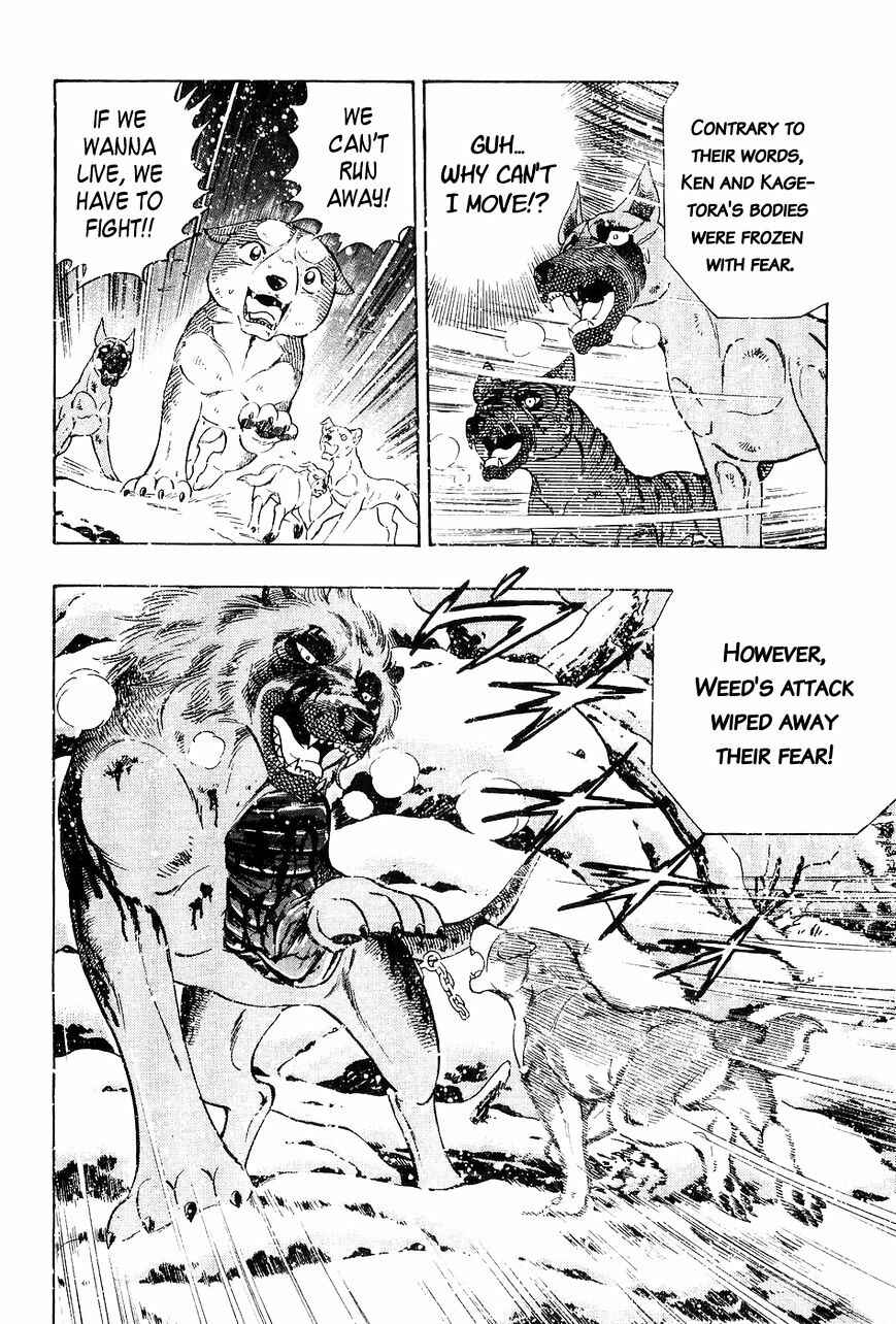 Ginga Densetsu Weed Chapter 40 - Page 21