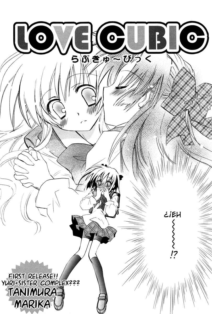 Love Cubic Chapter 1 - Page 5