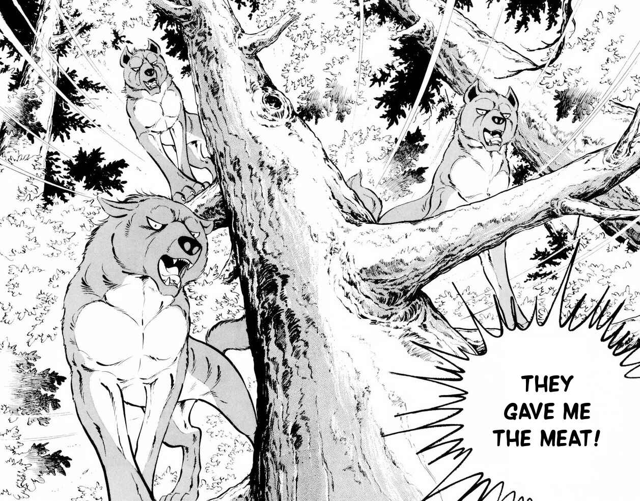 Silver Fang – The Shooting Star Gin – Chapter 18 - Page 21