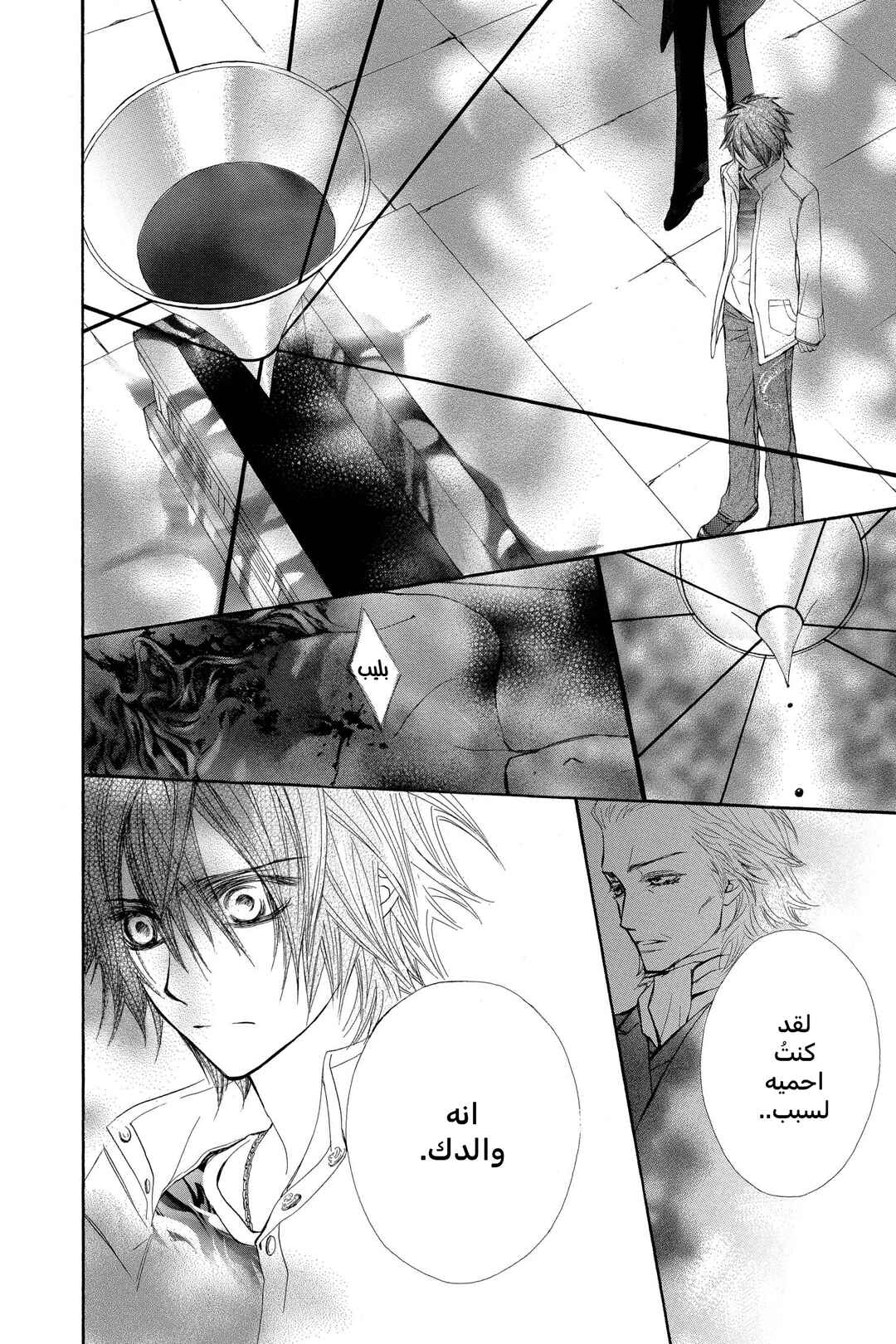 Vampire Knight Chapter 29 - Page 14