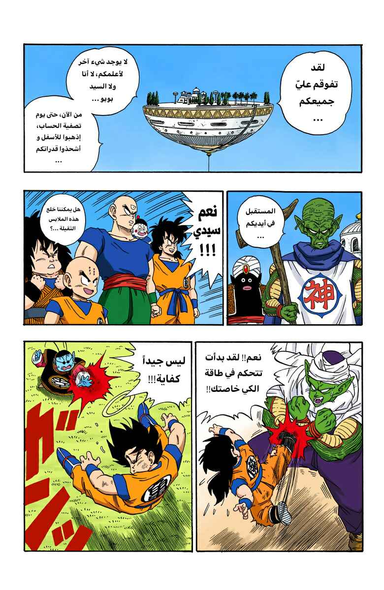 Dragon Ball (Official Colored) Chapter 211 - Page 13
