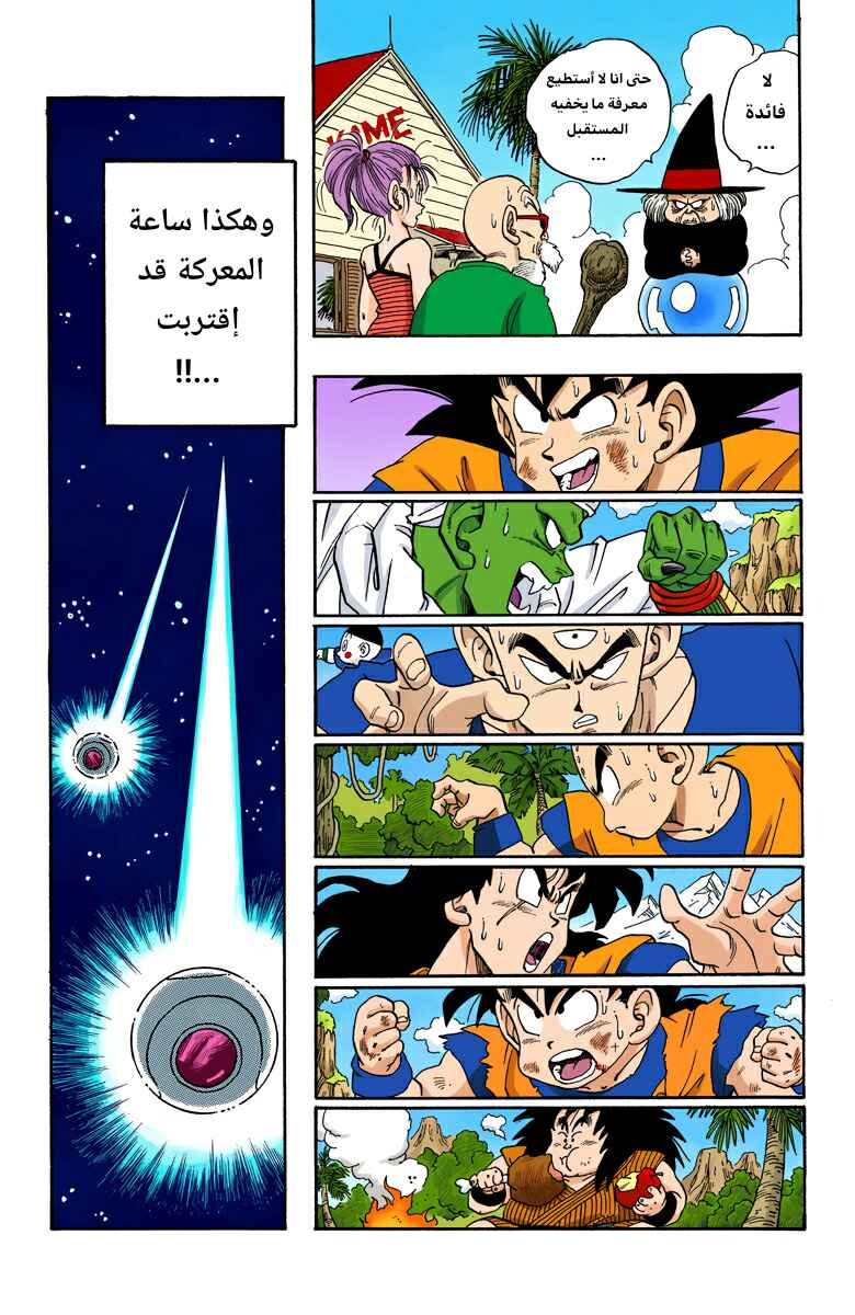 Dragon Ball (Official Colored) Chapter 211 - Page 14