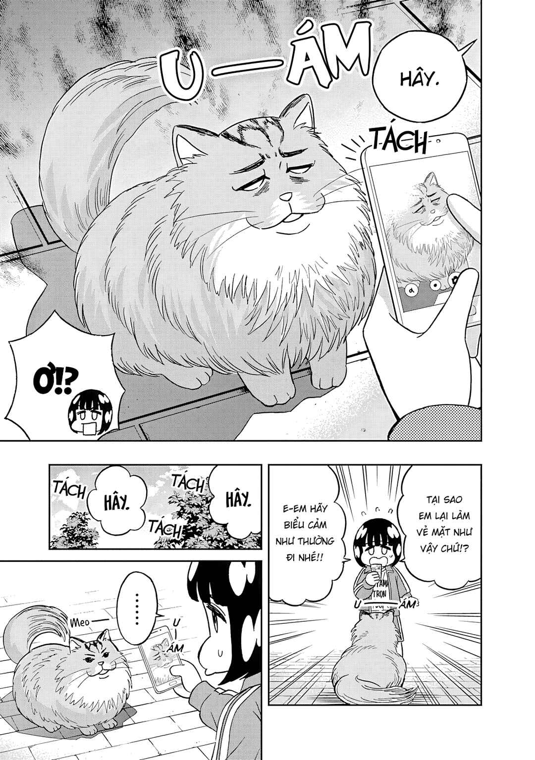 Keppeki Danshi! Aoyama-kun Chapter 52 - Page 4
