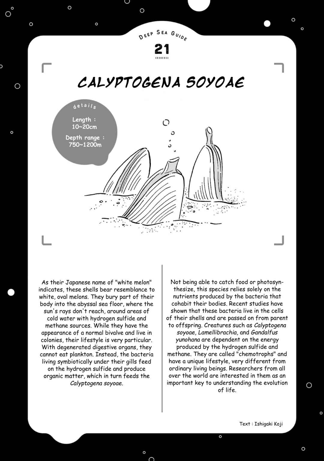 Magmell Shinkai Suizokukan Chapter 25 - Page 39