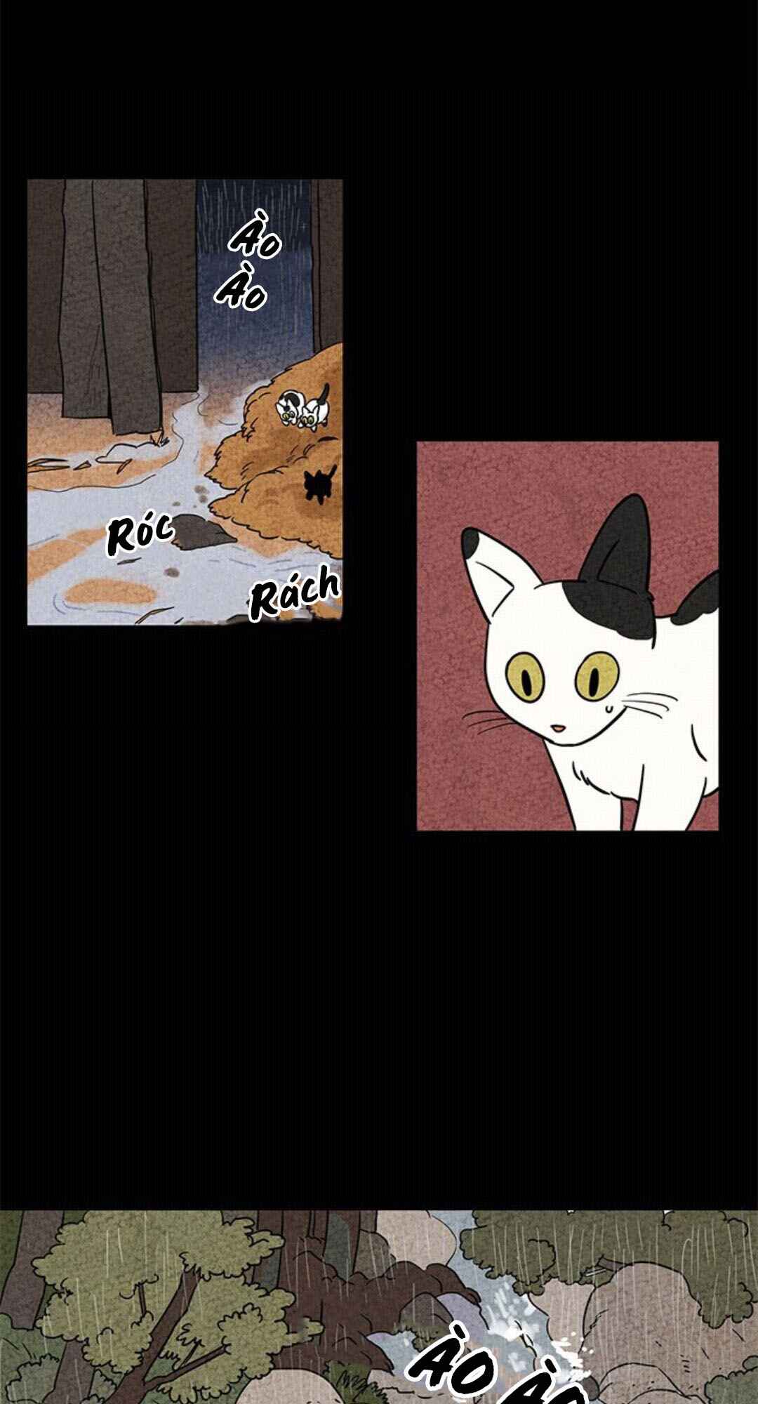 The Tale of Goldiluck, the Black Kitten Chapter 2 - Page 21