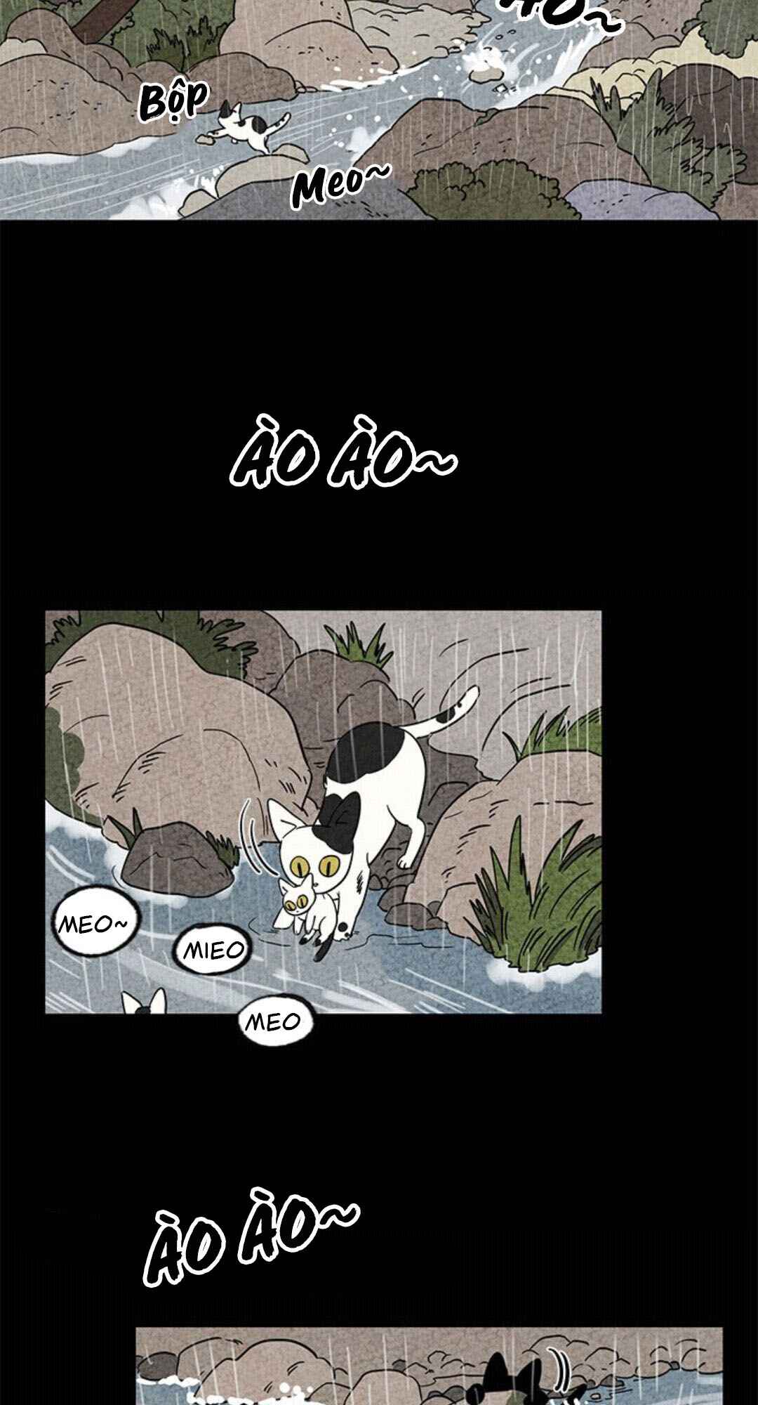 The Tale of Goldiluck, the Black Kitten Chapter 2 - Page 22