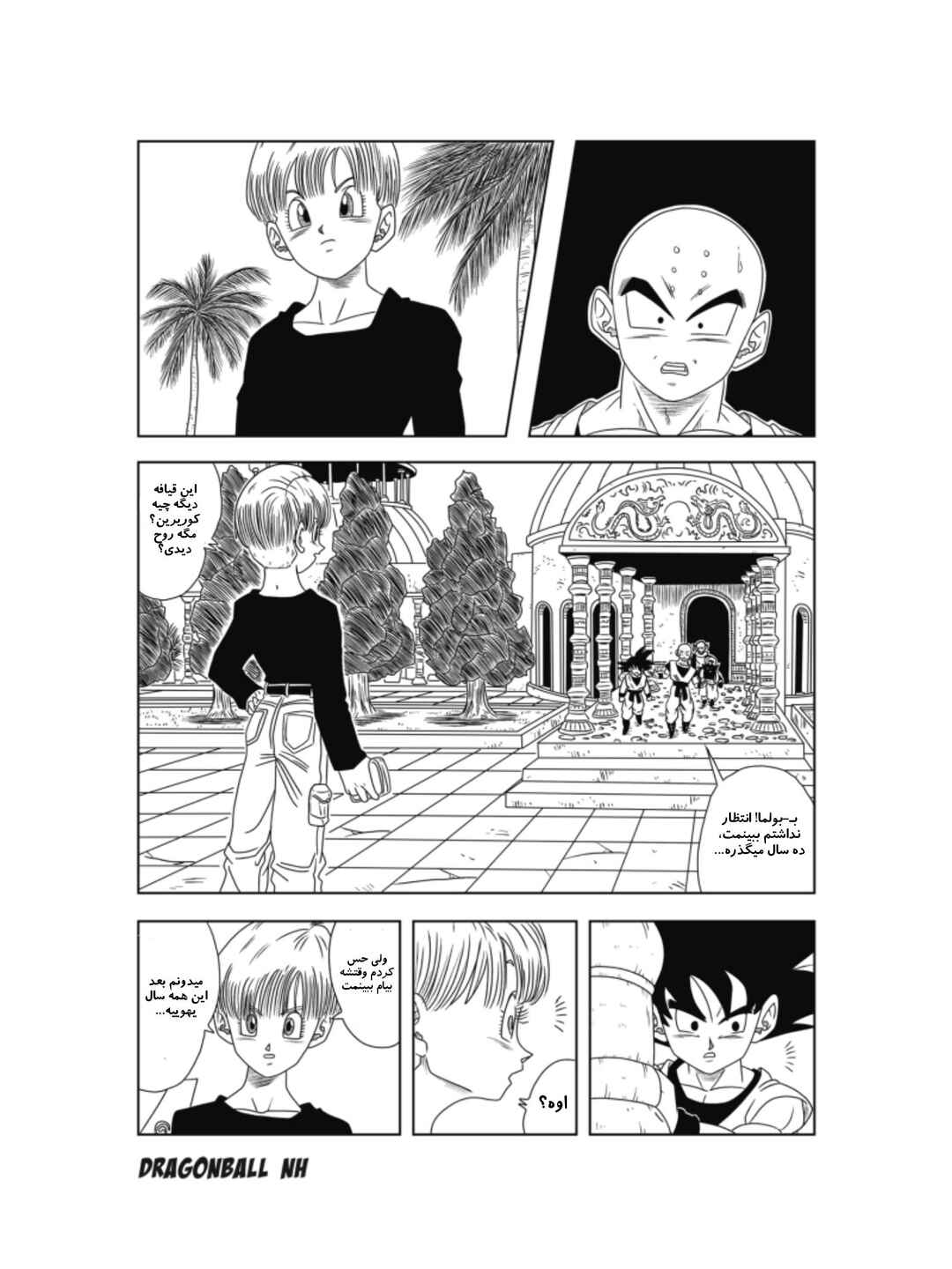 Dragon Ball - New Hope Chapter 4 - Page 9