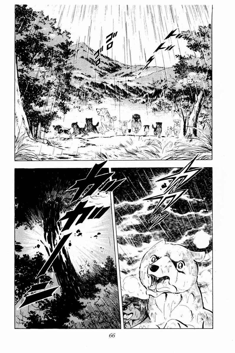 Silver Fang – The Shooting Star Gin – Chapter 32 - Page 20