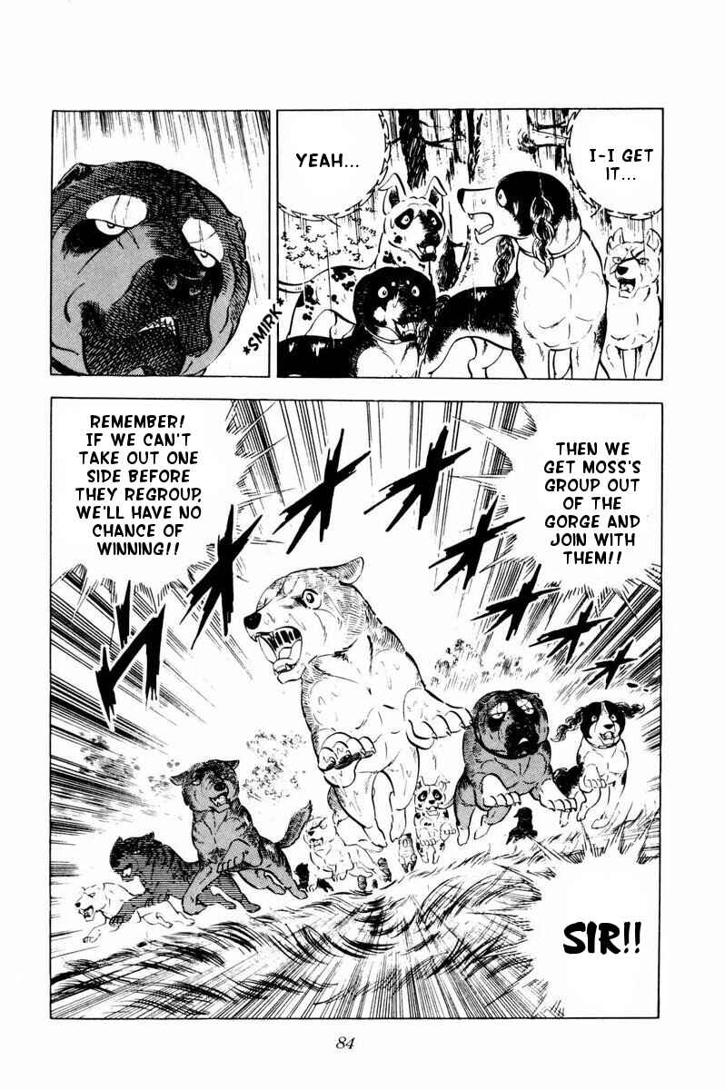 Silver Fang – The Shooting Star Gin – Chapter 32 - Page 38