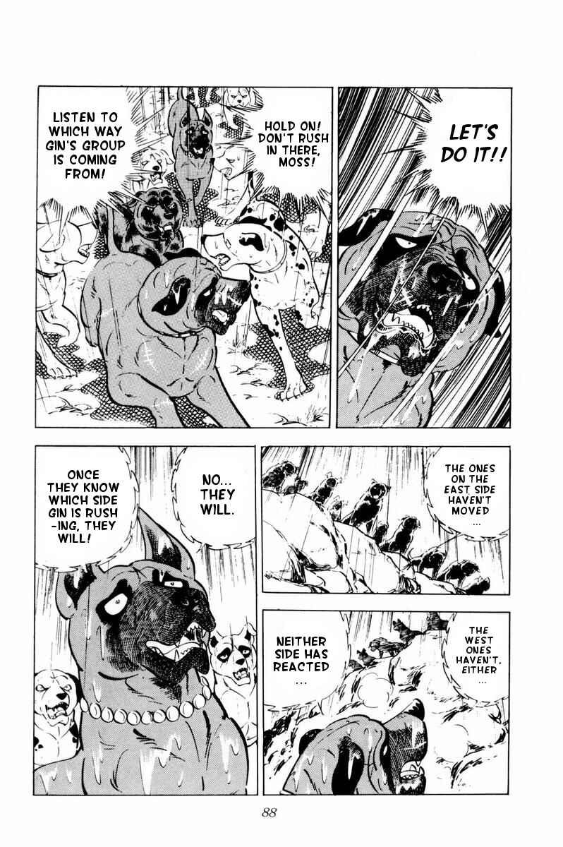 Silver Fang – The Shooting Star Gin – Chapter 32 - Page 41