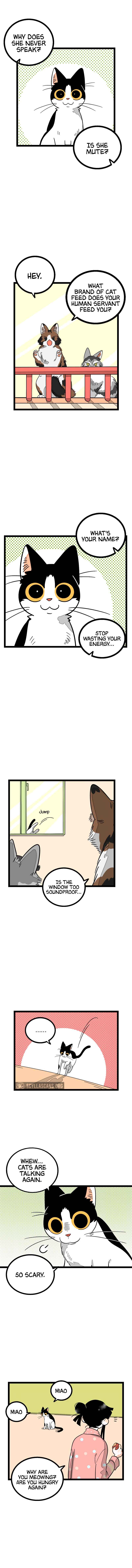 When Monday Met Sunday Chapter 11 - Page 5