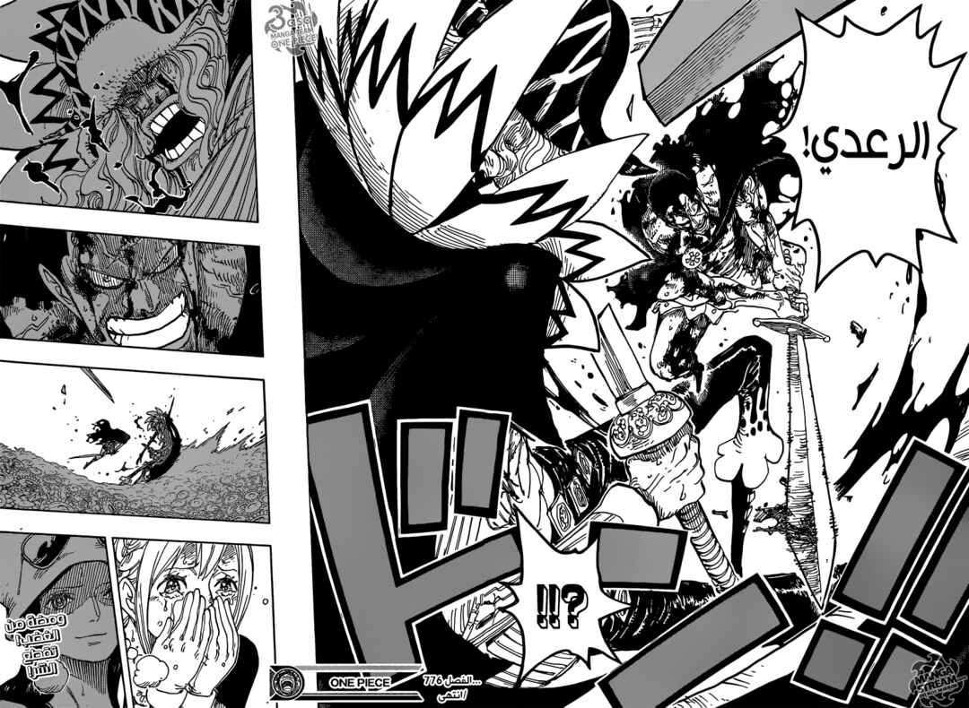 One Piece Chapter 776 - Page 17