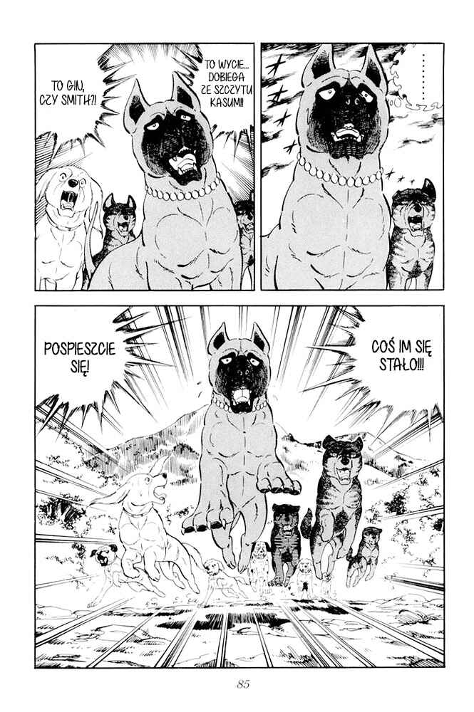 Silver Fang – The Shooting Star Gin – Chapter 15 - Page 41