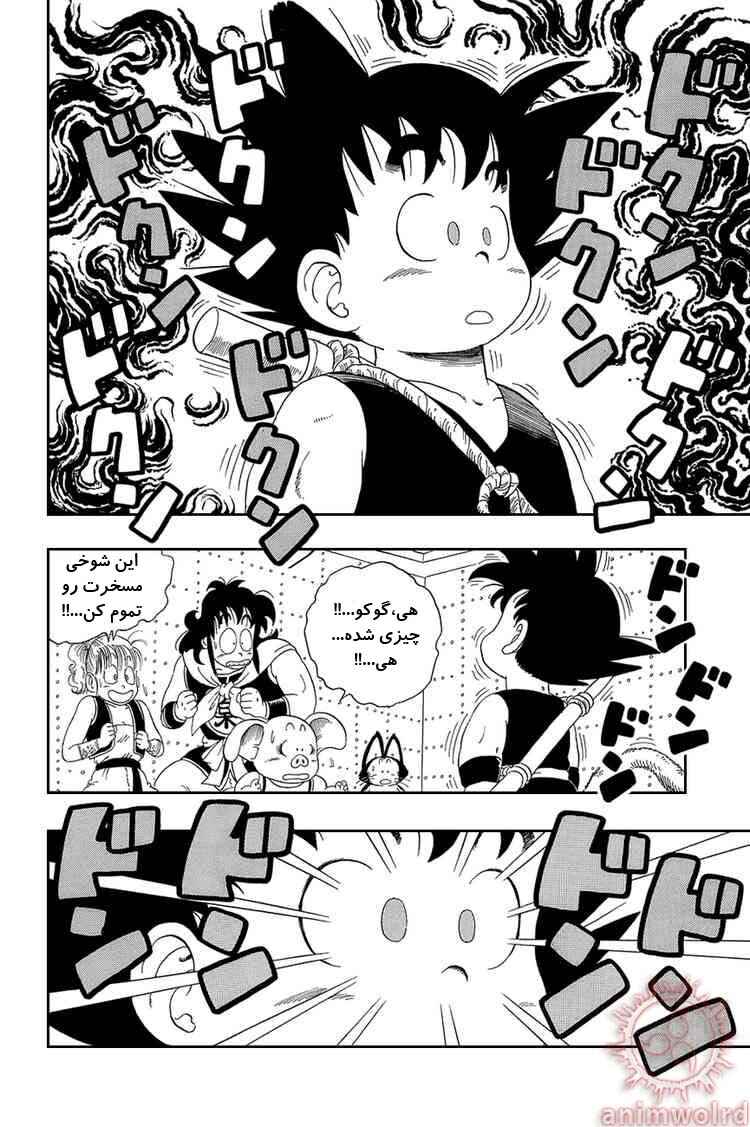 Dragon Ball Chapter 21 - Page 10
