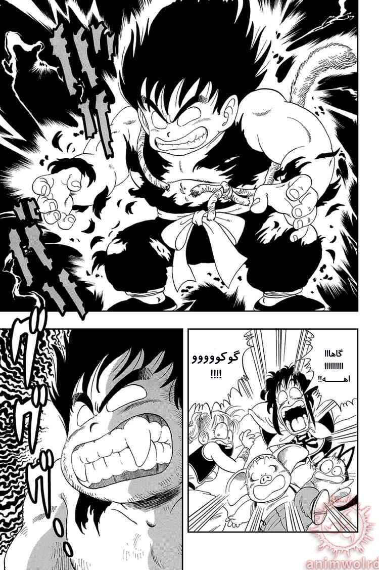 Dragon Ball Chapter 21 - Page 11