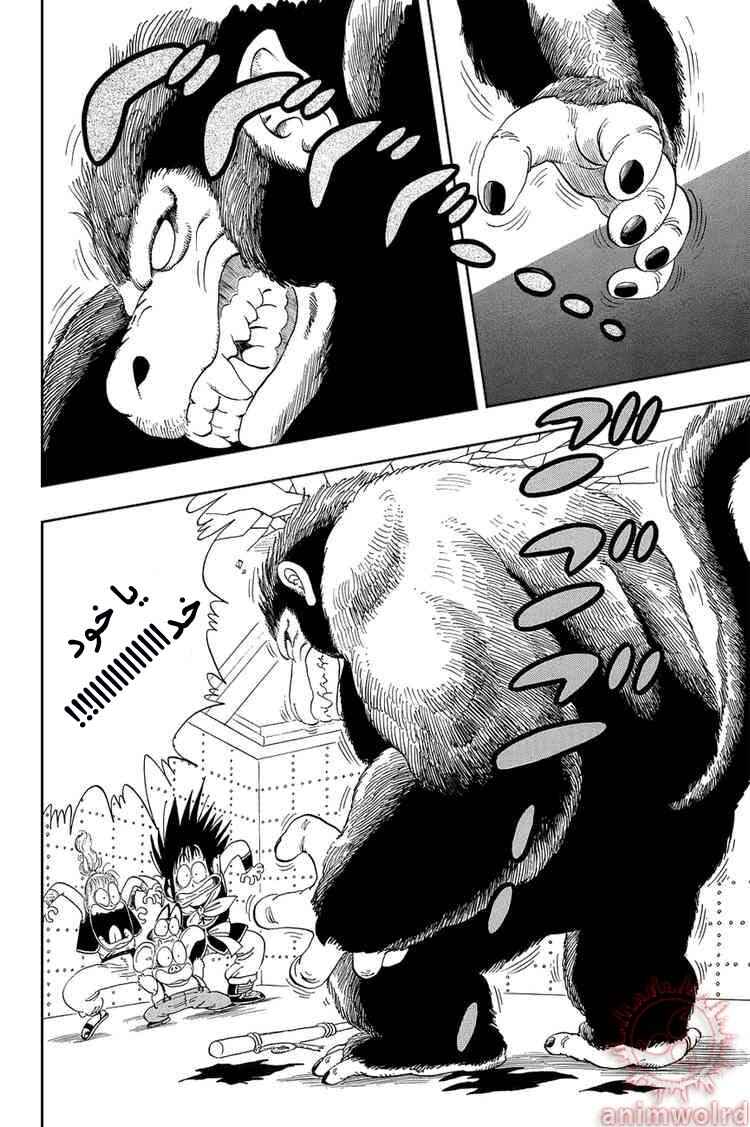 Dragon Ball Chapter 21 - Page 12