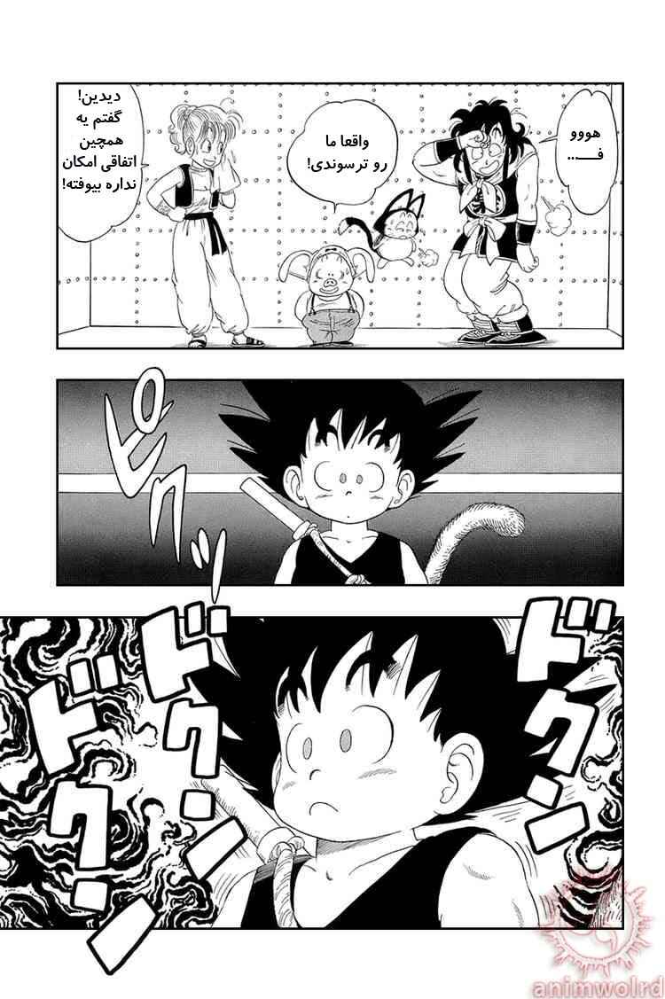 Dragon Ball Chapter 21 - Page 9