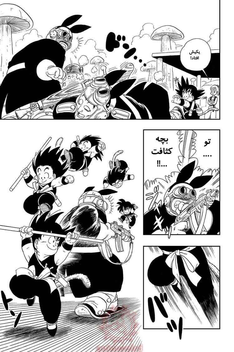 Dragon Ball Chapter 16 - Page 13