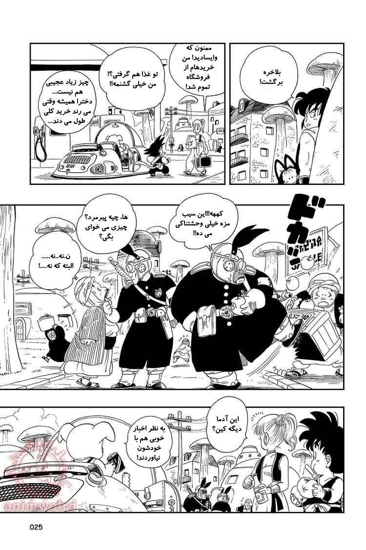 Dragon Ball Chapter 16 - Page 9