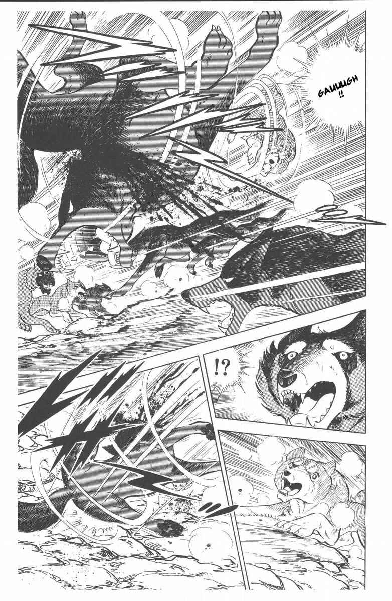 Silver Fang – The Shooting Star Gin – Chapter 48 - Page 45