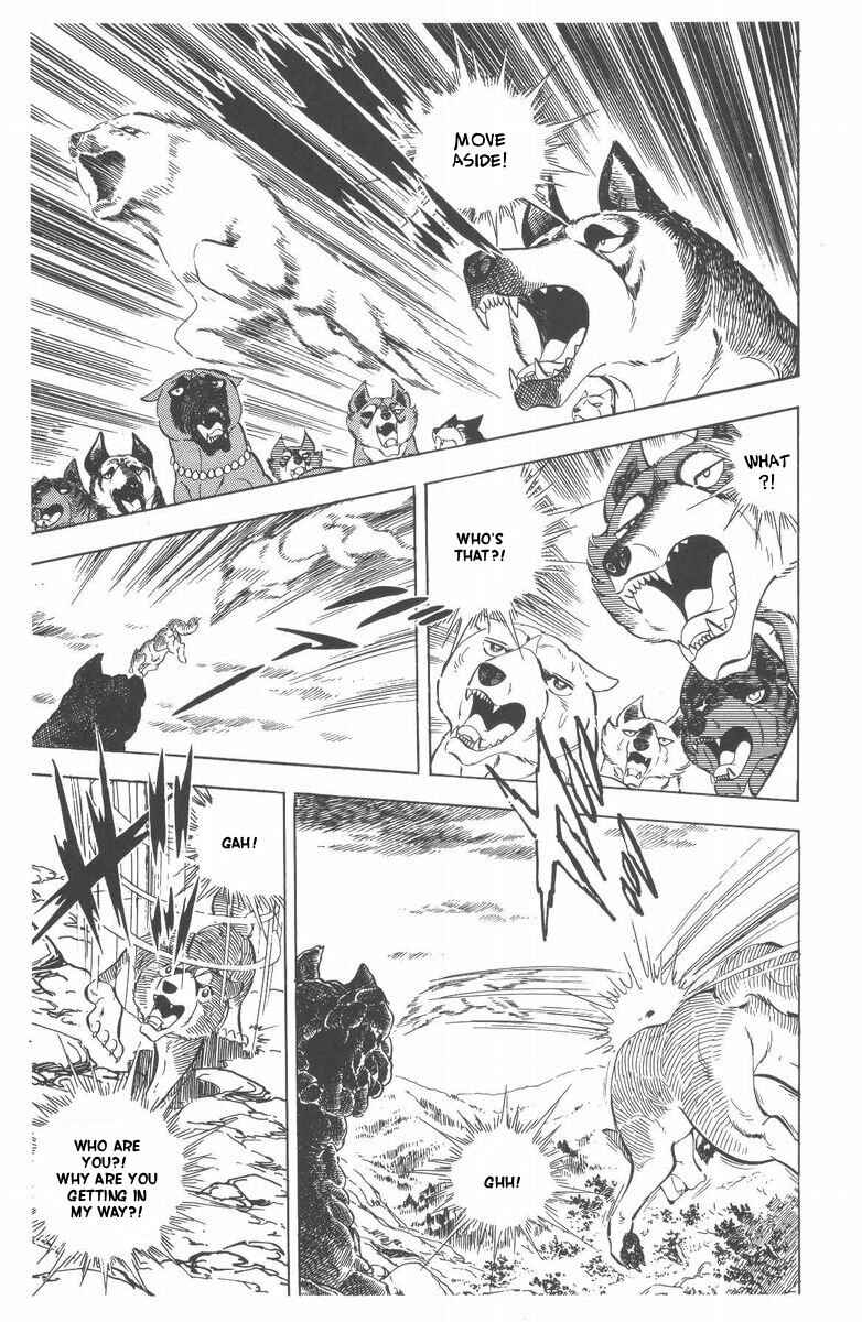 Silver Fang – The Shooting Star Gin – Chapter 48 - Page 76