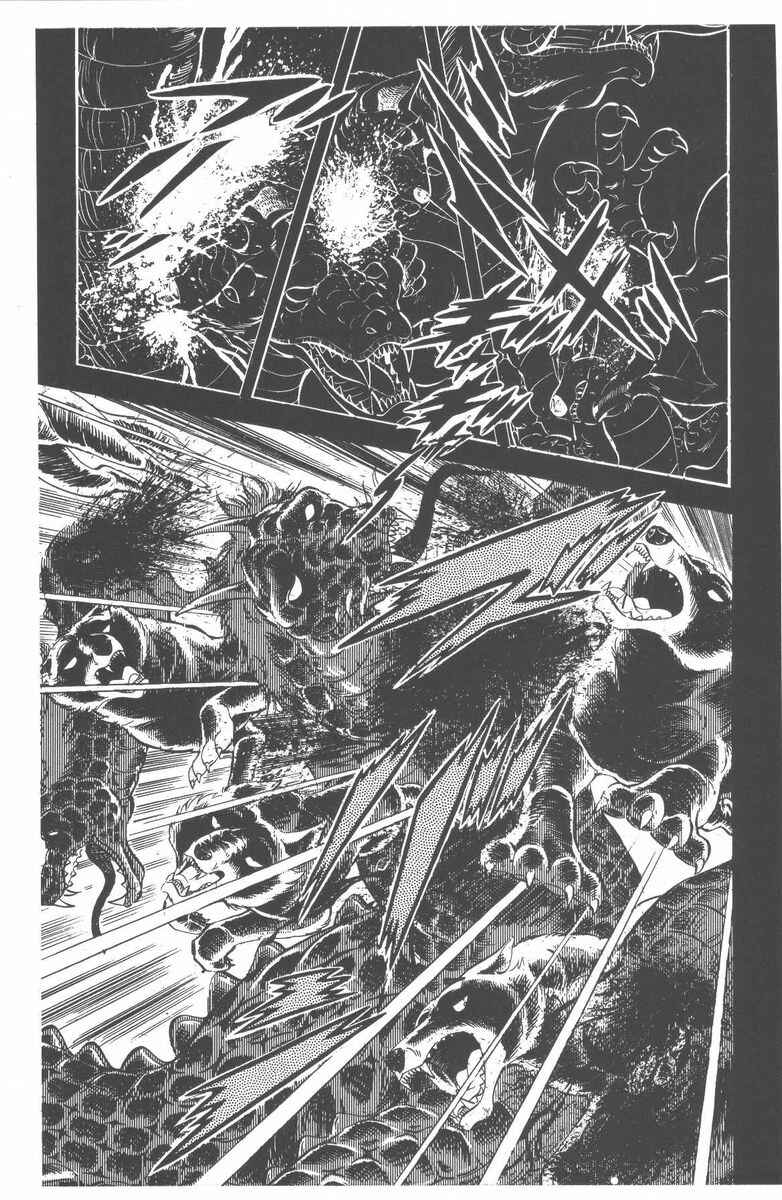 Silver Fang – The Shooting Star Gin – Chapter 48 - Page 9
