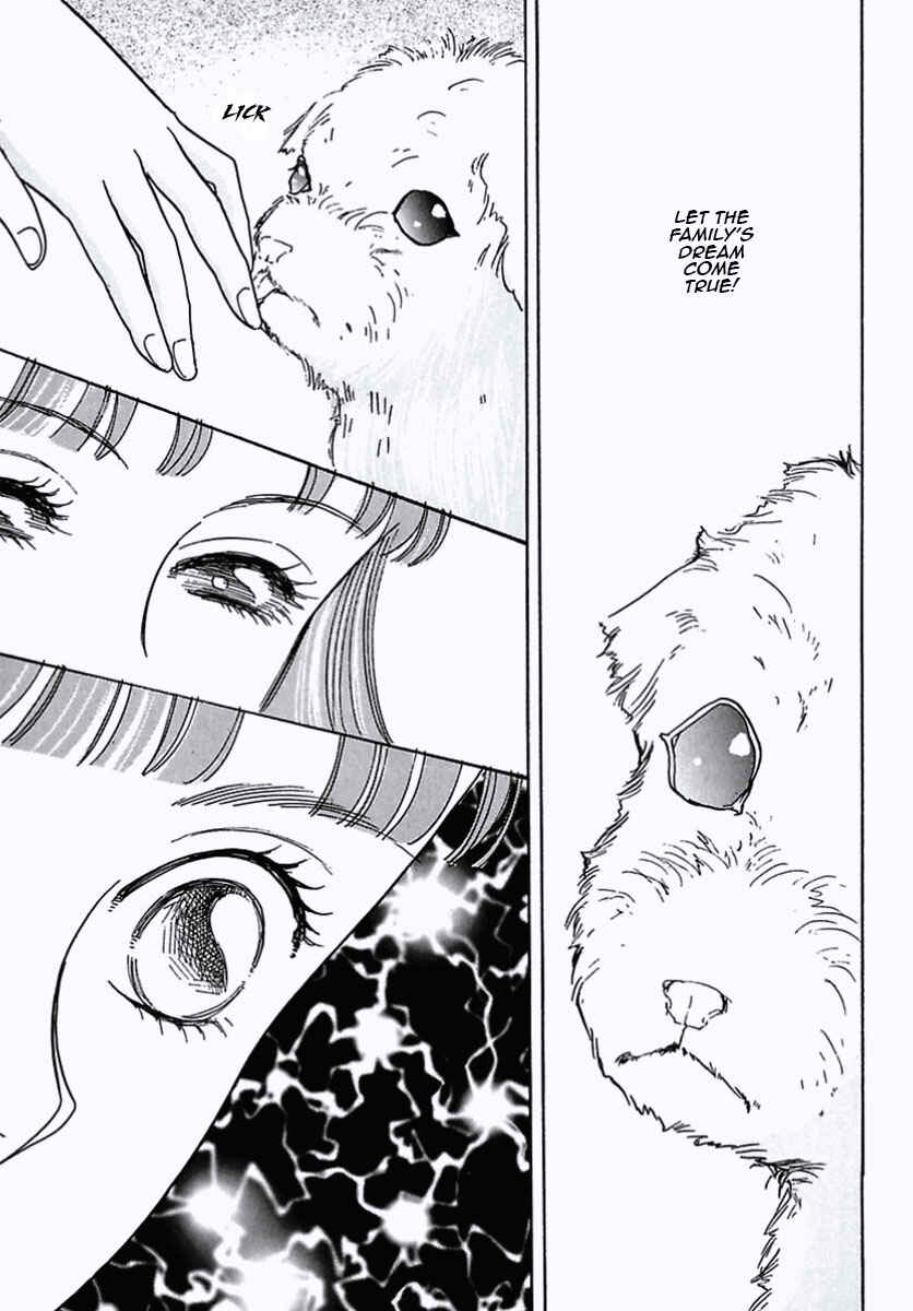 Pet Shop of Horrors Chapter 24 - Page 41