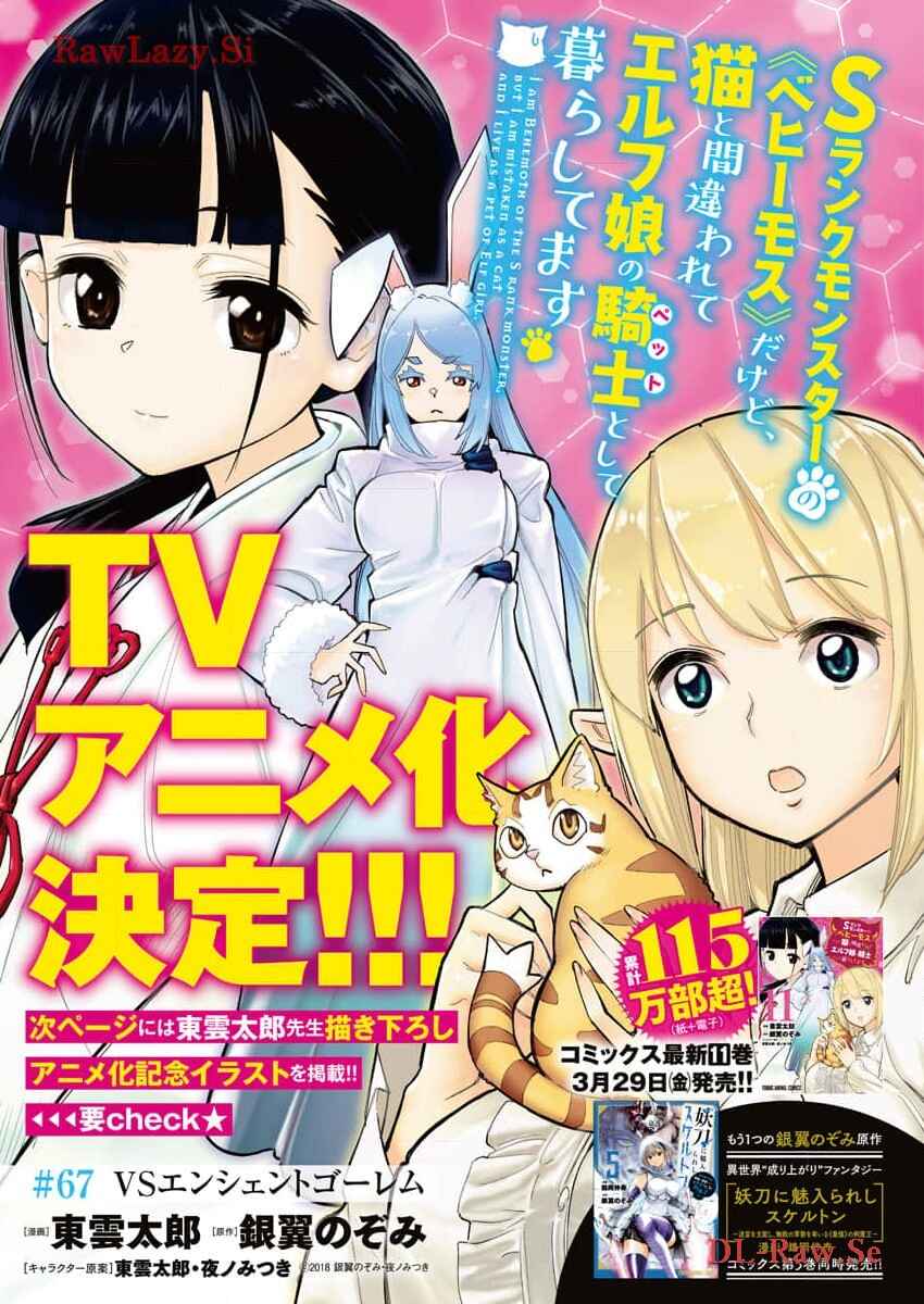 S-Rank Monster no "Behemoth" dakedo, Neko to Machigawarete Elf Musume no Pet to Shite Kurashitemasu Chapter 67 - Page 2