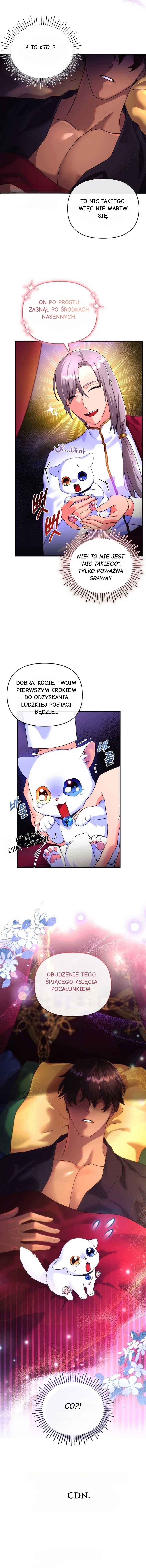 I Became the Sultan's Precious Cat Chapter 3 - Page 71