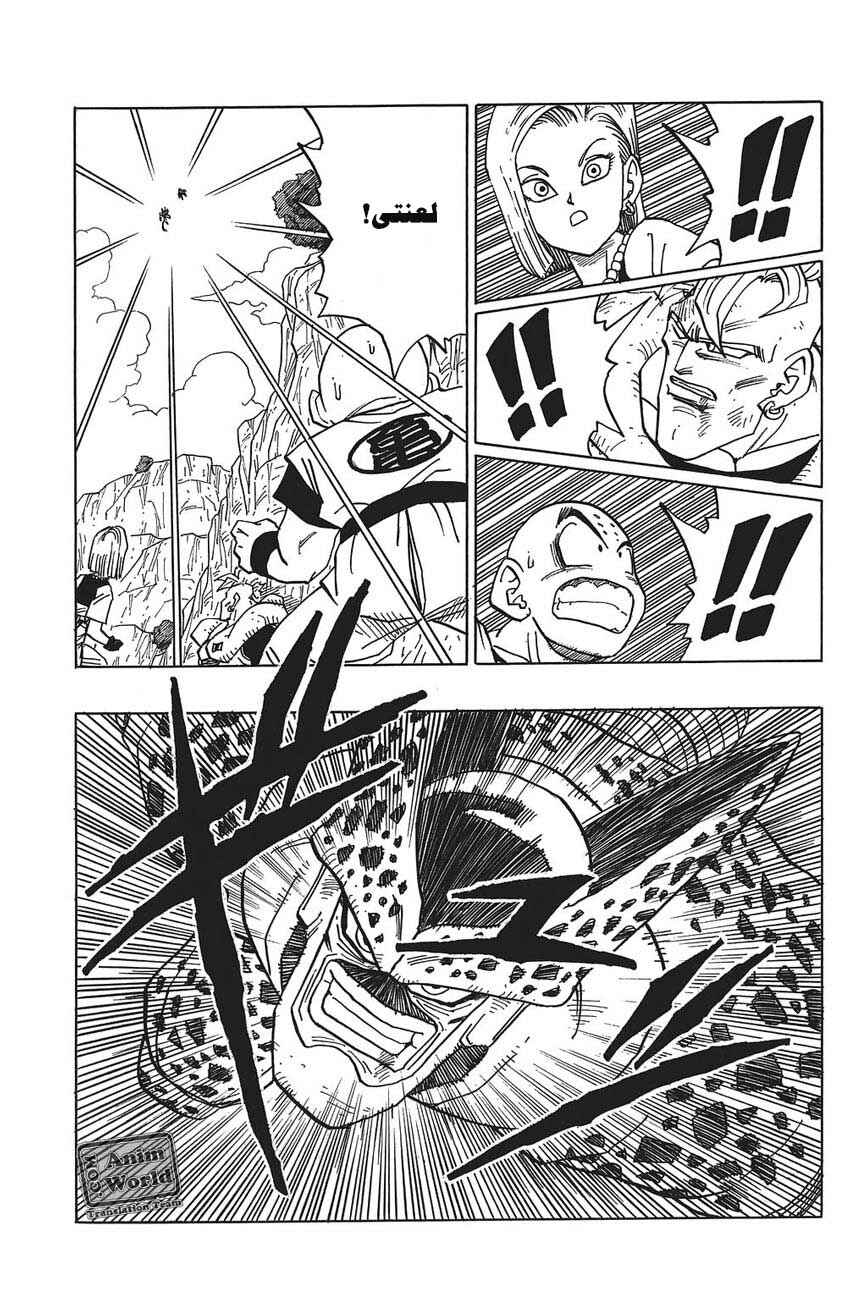 Dragon Ball Chapter 381 - Page 5