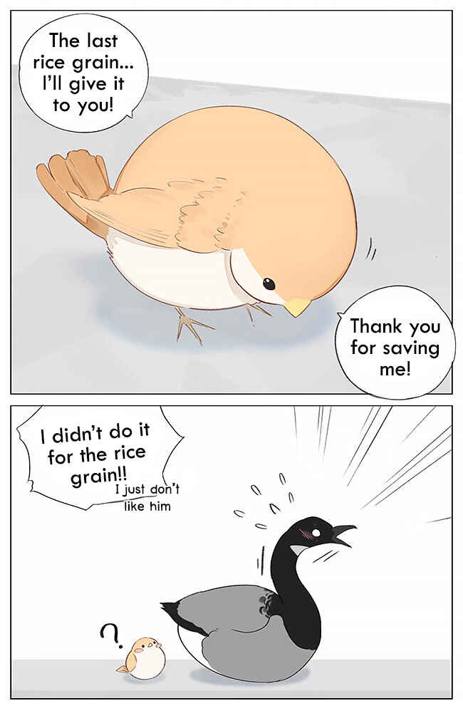 Southern Bird and Northern Bird Chapter 1 - Page 7