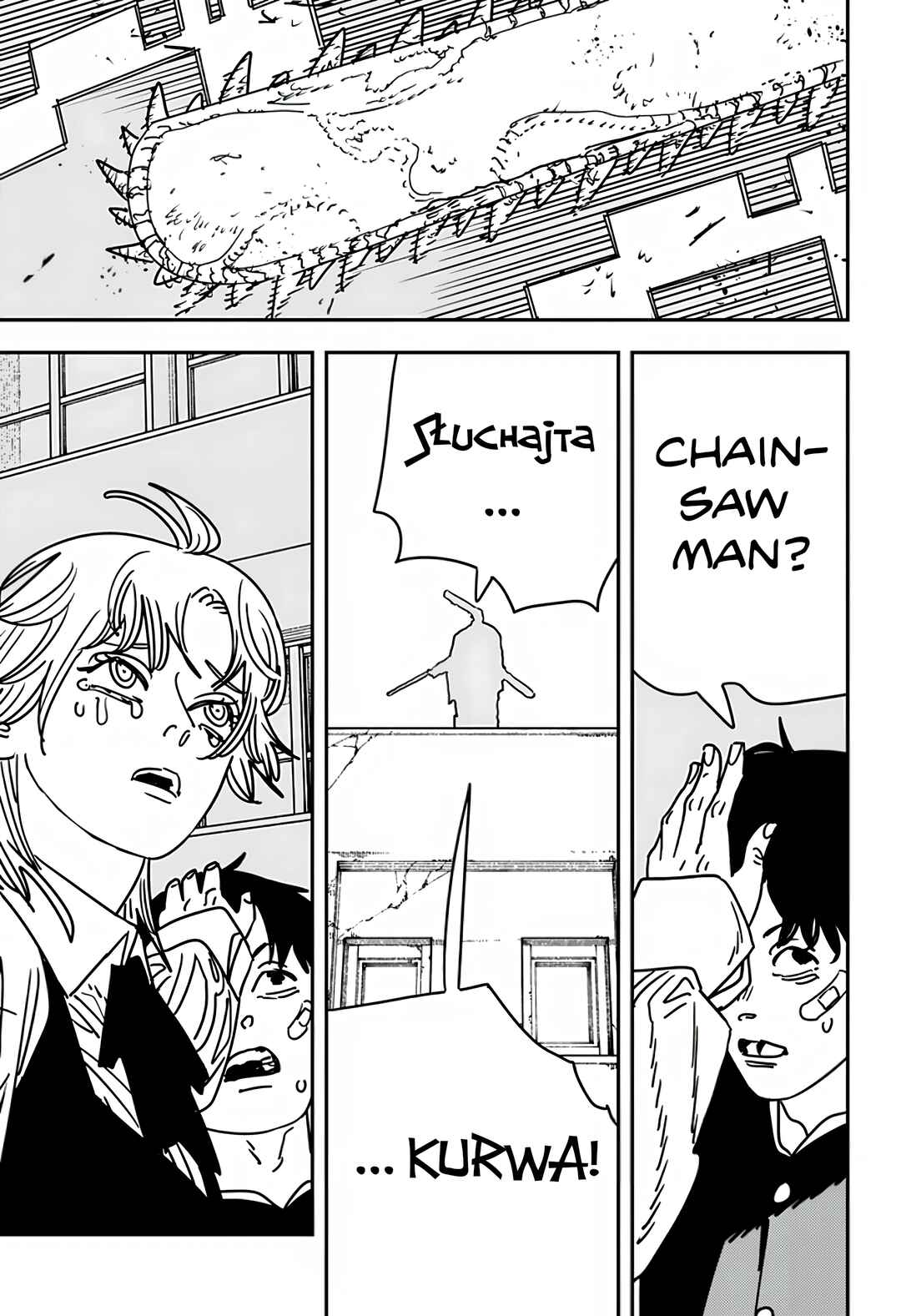 Chainsaw Man Chapter 196 - Page 13