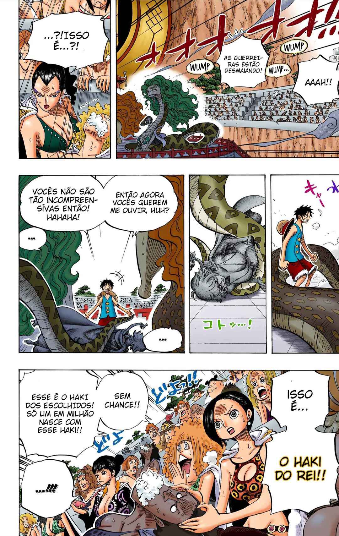 One Piece (Official Colored) Chapter 519 - Page 18