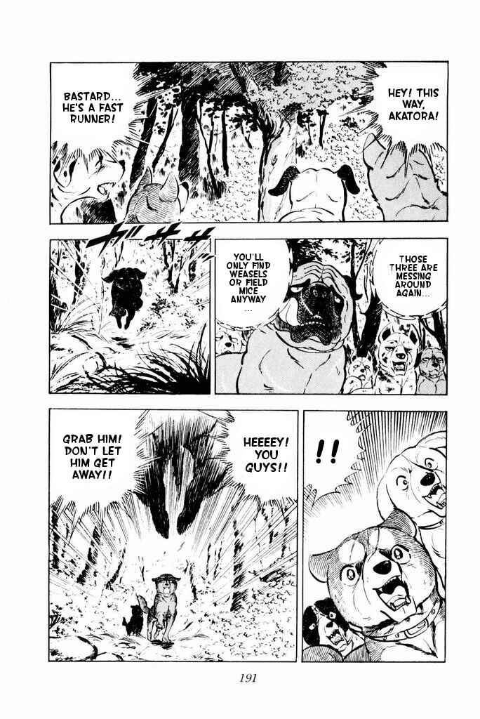Silver Fang – The Shooting Star Gin – Chapter 23 - Page 49